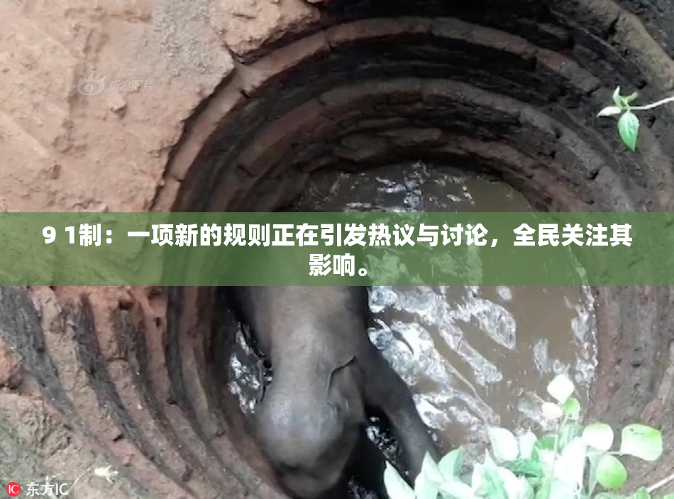 9 1制：一项新的规则正在引发热议与讨论，全民关注其影响。