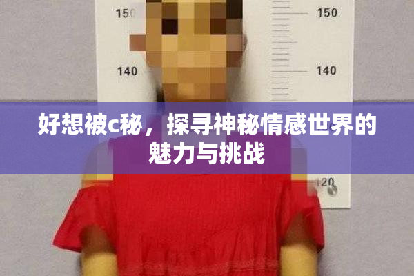 好想被c秘，探寻神秘情感世界的魅力与挑战