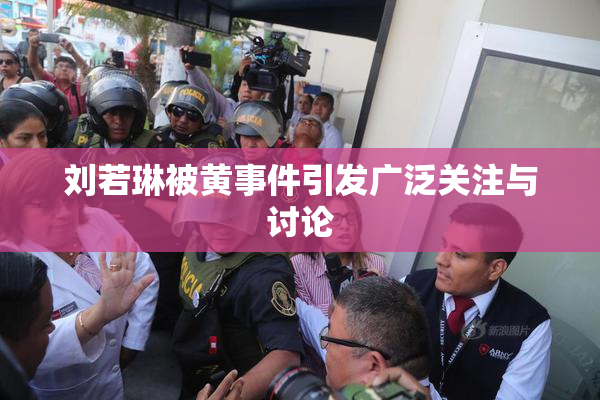 刘若琳被黄事件引发广泛关注与讨论