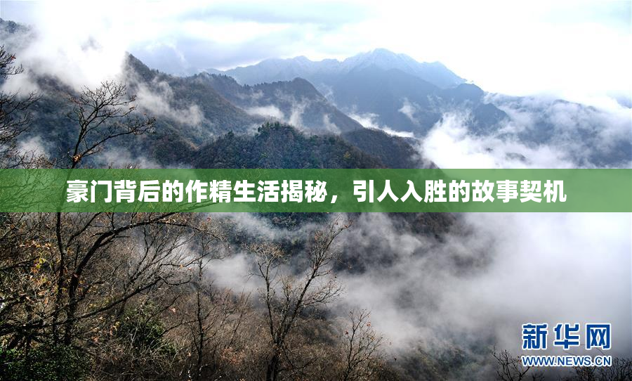 豪门背后的作精生活揭秘，引人入胜的故事契机