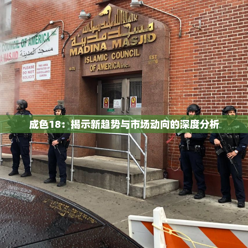 成色18：揭示新趋势与市场动向的深度分析