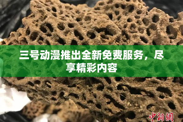 三号动漫推出全新免费服务，尽享精彩内容