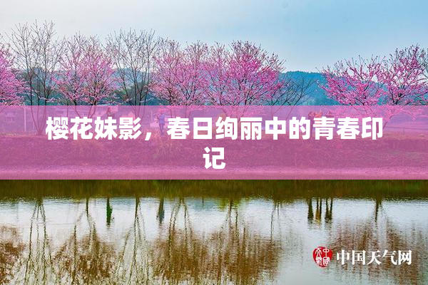樱花妹影，春日绚丽中的青春印记
