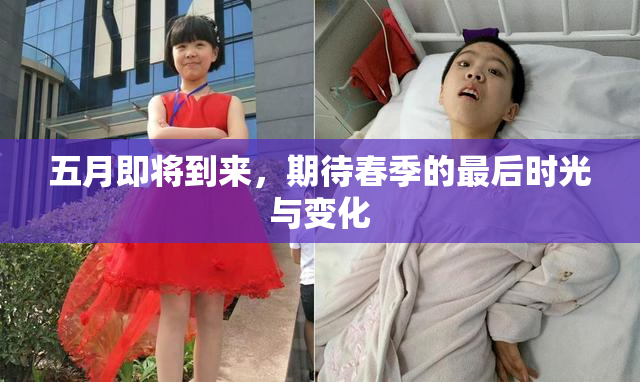 五月即将到来，期待春季的最后时光与变化