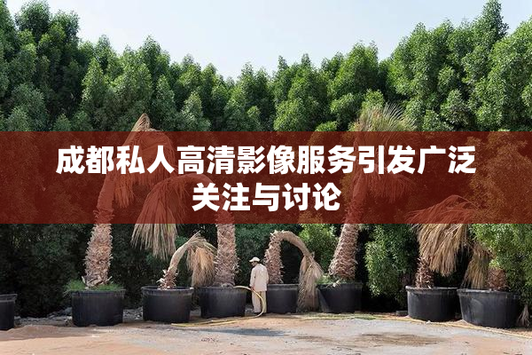 成都私人高清影像服务引发广泛关注与讨论