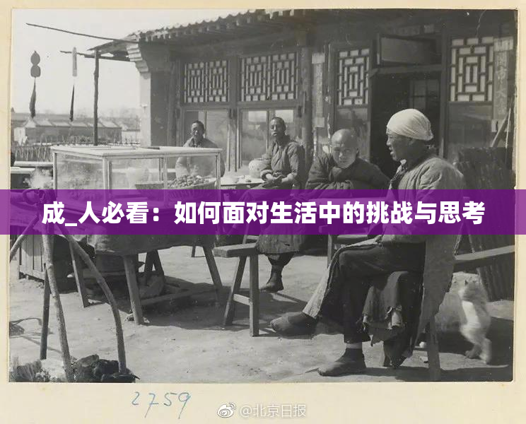 成_人必看：如何面对生活中的挑战与思考