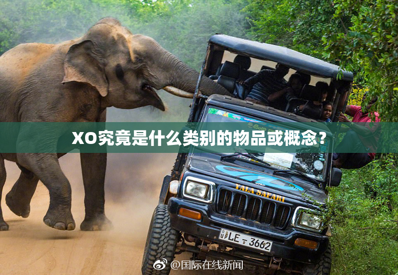 XO究竟是什么类别的物品或概念？
