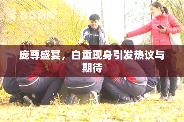 庞尊盛宴，白重现身引发热议与期待