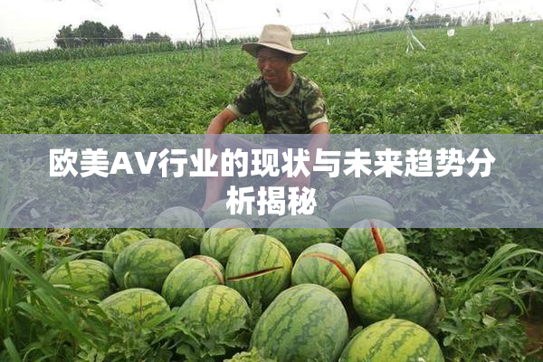 欧美AV行业的现状与未来趋势分析揭秘