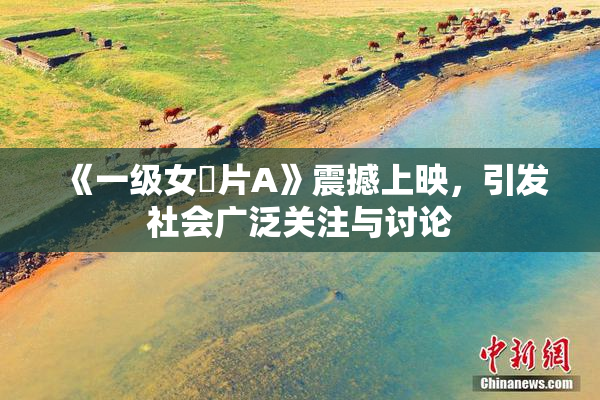 《一级女婬片A》震撼上映，引发社会广泛关注与讨论