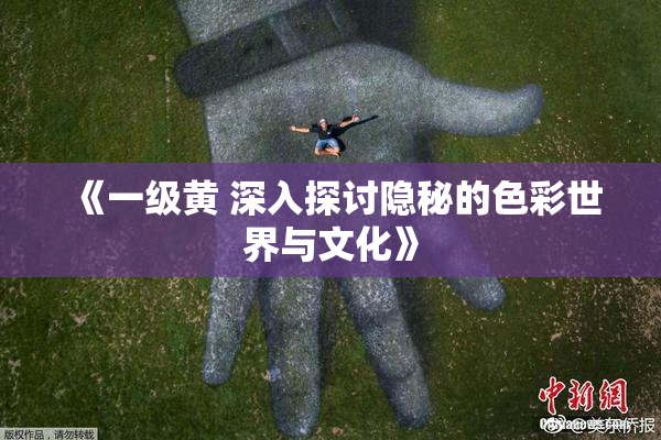 《一级黄 深入探讨隐秘的色彩世界与文化》