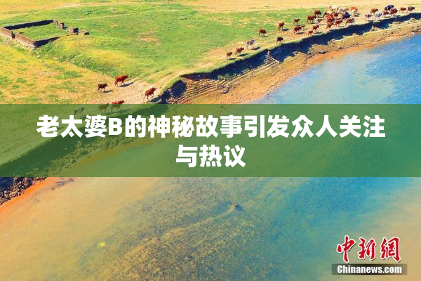 老太婆B的神秘故事引发众人关注与热议