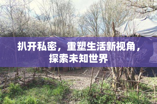 扒开私密，重塑生活新视角，探索未知世界