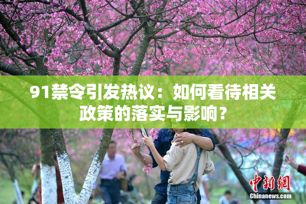 91禁令引发热议：如何看待相关政策的落实与影响？