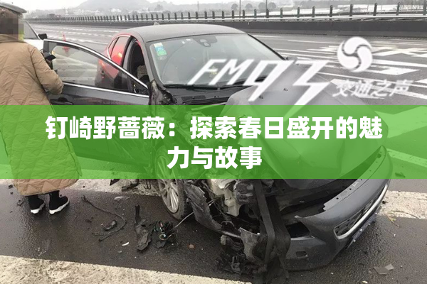 钉崎野蔷薇：探索春日盛开的魅力与故事