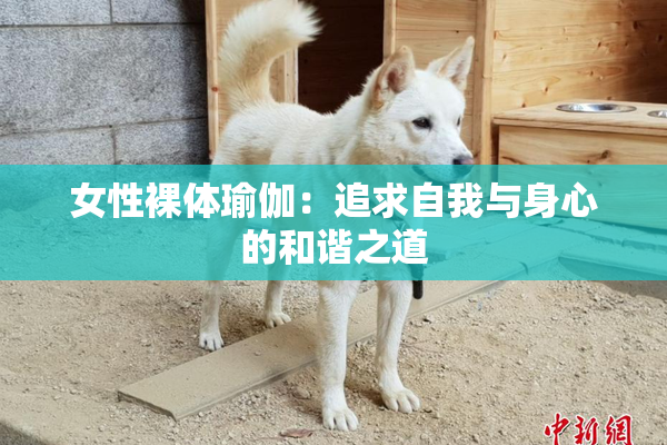女性裸体瑜伽：追求自我与身心的和谐之道