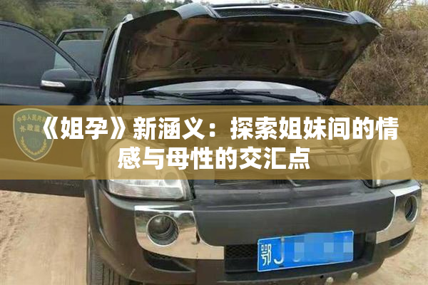 《姐孕》新涵义：探索姐妹间的情感与母性的交汇点