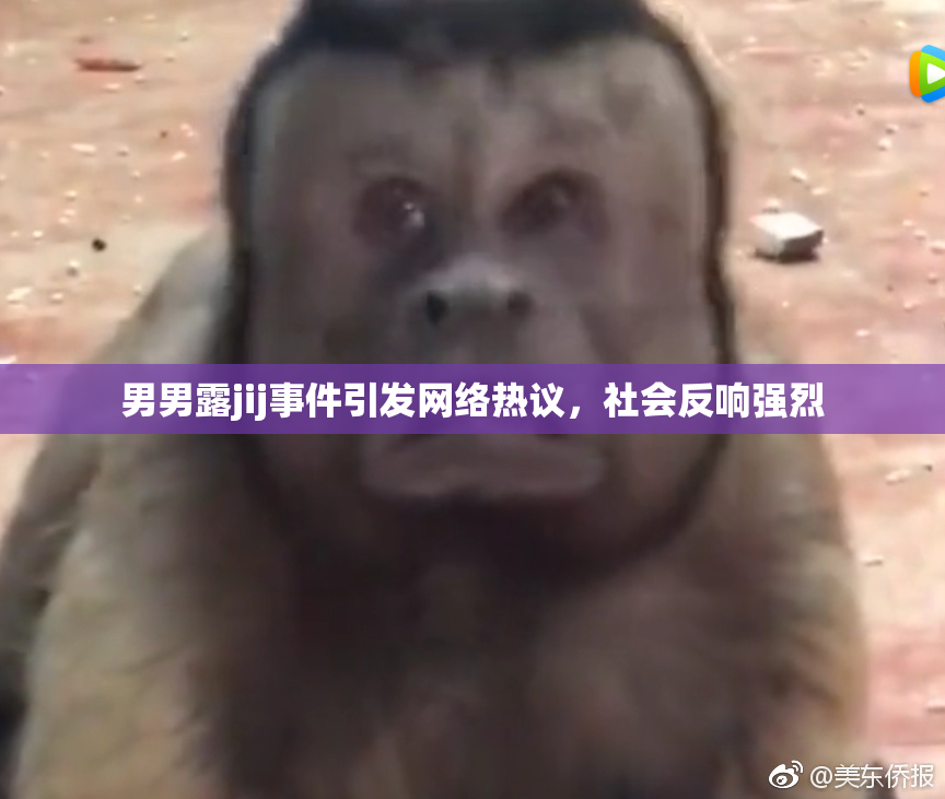 男男露jij事件引发网络热议，社会反响强烈