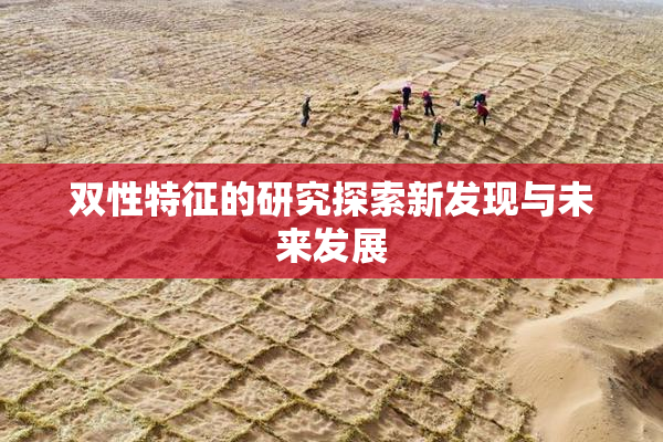 双性特征的研究探索新发现与未来发展