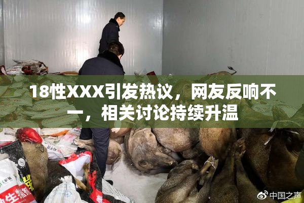 18性XXX引发热议，网友反响不一，相关讨论持续升温