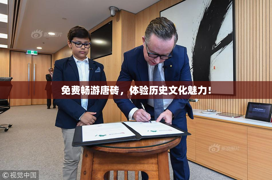 免费畅游唐砖，体验历史文化魅力！