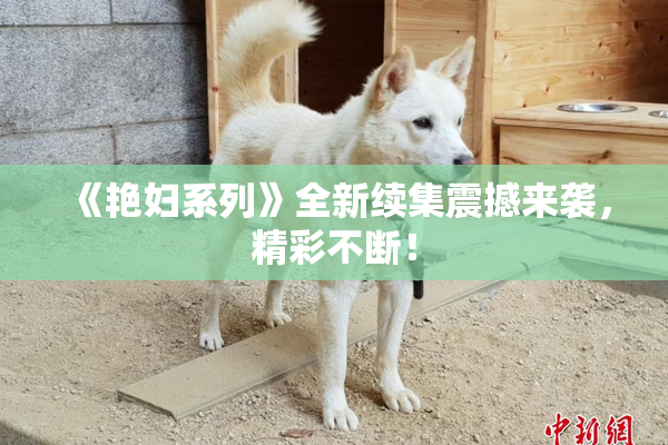 《艳妇系列》全新续集震撼来袭，精彩不断！