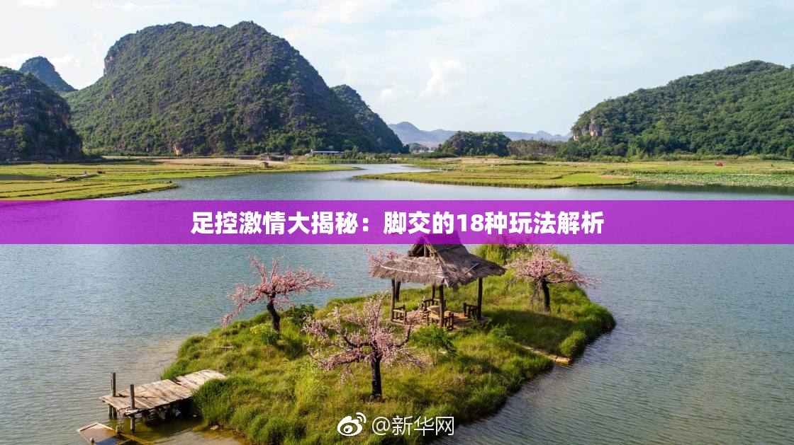足控激情大揭秘：脚交的18种玩法解析