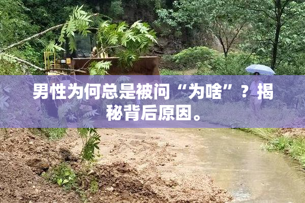 男性为何总是被问“为啥”？揭秘背后原因。