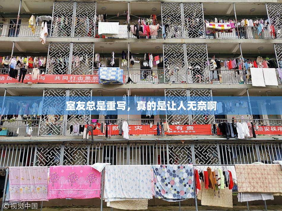室友总是重写，真的是让人无奈啊