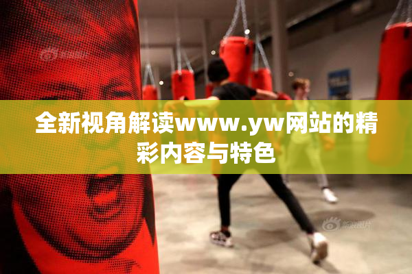 全新视角解读www.yw网站的精彩内容与特色