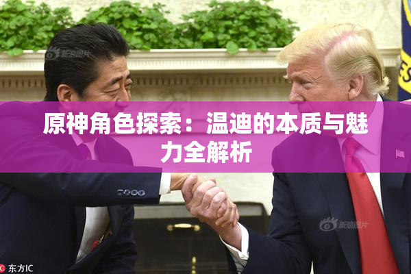 原神角色探索：温迪的本质与魅力全解析