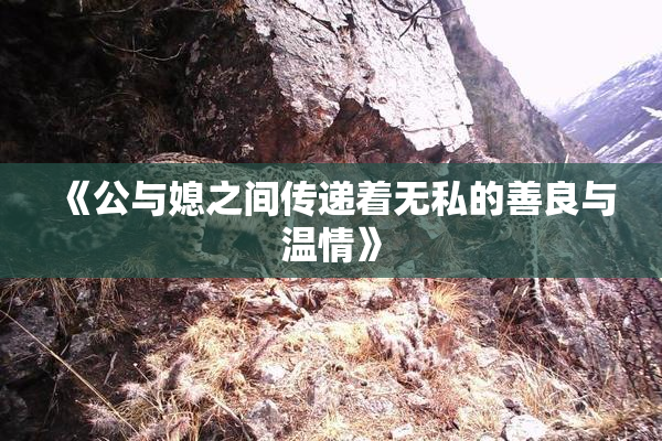 《公与媳之间传递着无私的善良与温情》