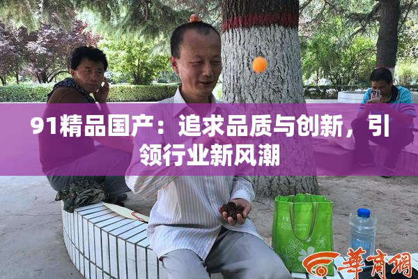 91精品国产：追求品质与创新，引领行业新风潮