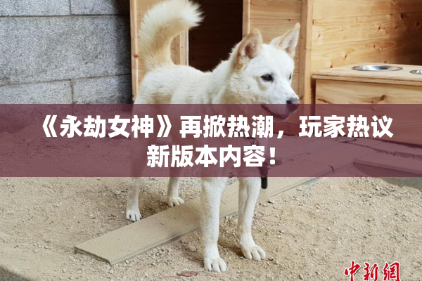 《永劫女神》再掀热潮，玩家热议新版本内容！