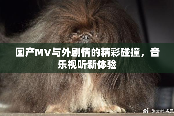 国产MV与外剧情的精彩碰撞，音乐视听新体验
