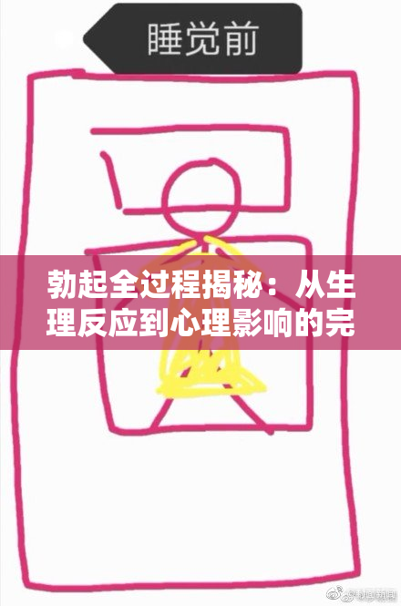 勃起全过程揭秘：从生理反应到心理影响的完整解析