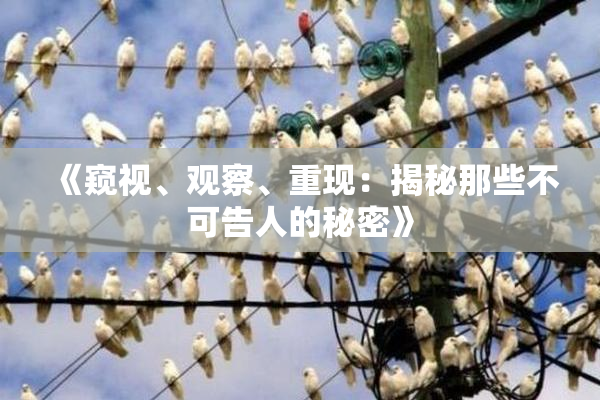 《窥视、观察、重现：揭秘那些不可告人的秘密》