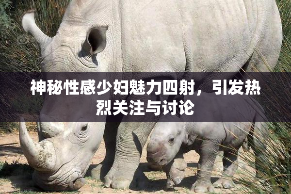 神秘性感少妇魅力四射，引发热烈关注与讨论