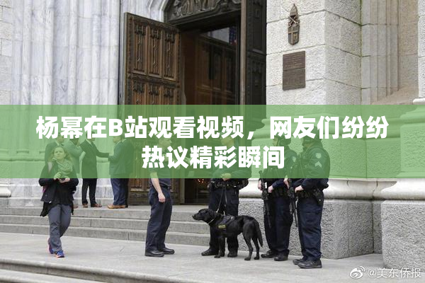 杨幂在B站观看视频，网友们纷纷热议精彩瞬间