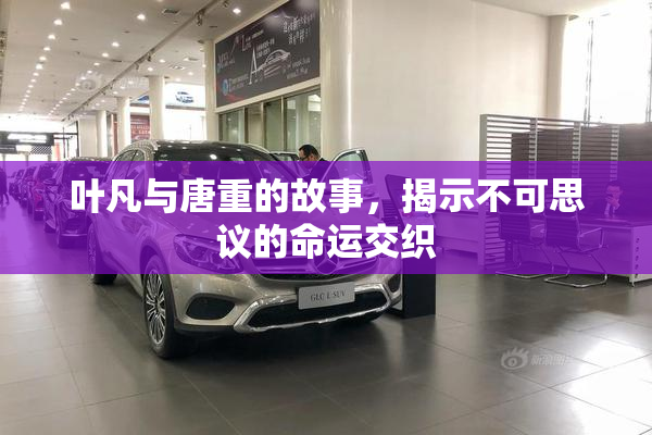 叶凡与唐重的故事，揭示不可思议的命运交织