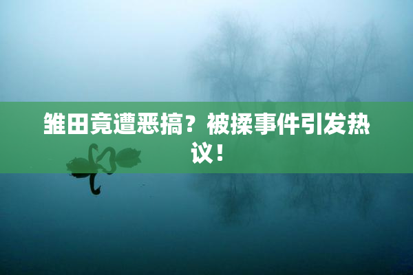 雏田竟遭恶搞？被揉事件引发热议！