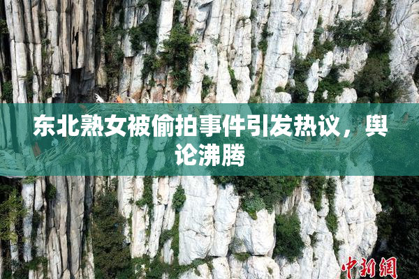 东北熟女被偷拍事件引发热议，舆论沸腾