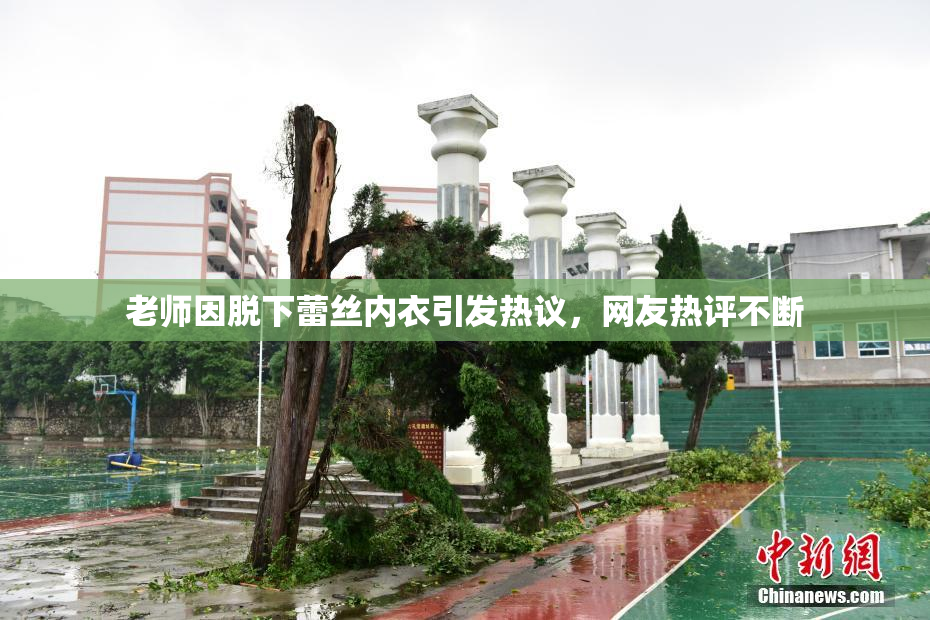 老师因脱下蕾丝内衣引发热议，网友热评不断