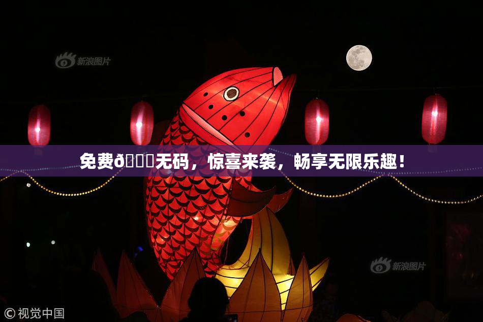 免费🔞无码，惊喜来袭，畅享无限乐趣！