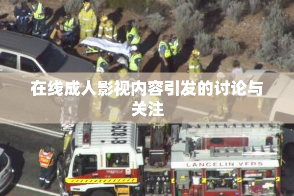 在线成人影视内容引发的讨论与关注