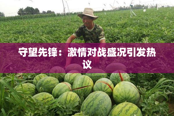 守望先锋：激情对战盛况引发热议