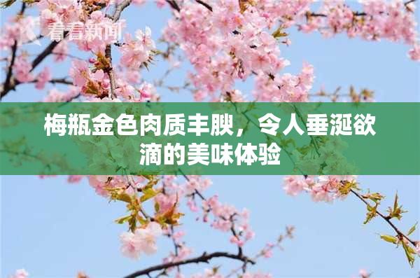 梅瓶金色肉质丰腴，令人垂涎欲滴的美味体验