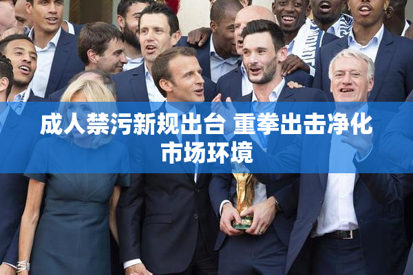 成人禁污新规出台 重拳出击净化市场环境