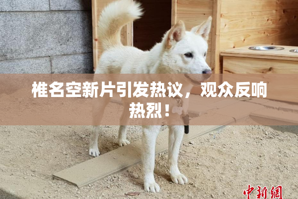 椎名空新片引发热议，观众反响热烈！