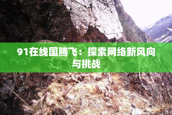 91在线国腾飞：探索网络新风向与挑战